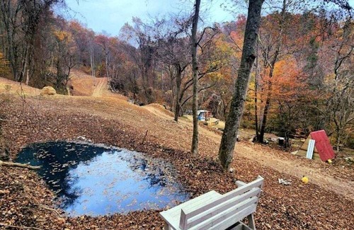Coal Fork Cabin | Remote Mountain A-Frame with BBQ Perfect for Nature Lovers in West Virginia