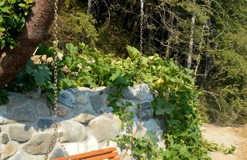 Gasquet Cabin | Remote Off-Grid-Rustic Tree House @ Sustainable Eco-Village