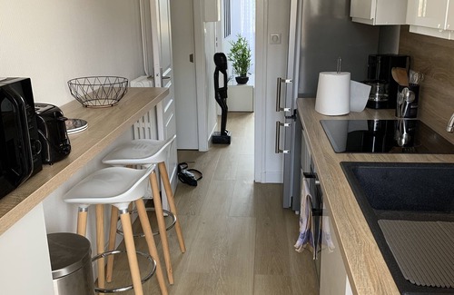 Dijon Apartment | Renovated 3-bedroom city center apartment with parking