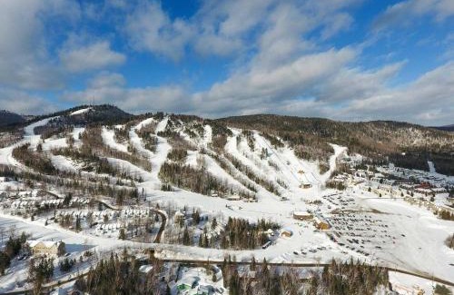 Entrelacs Ski Chalet | Renovated Chalet De l'Escapade Hot Tub - Ski - Snow Tubing- Lakeview - Pool table - More