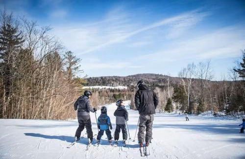 Entrelacs Ski Chalet | Renovated Chalet De l'Escapade Hot Tub - Ski - Snow Tubing- Lakeview - Pool table - More