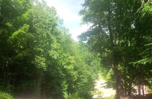 Irondale Cottage | Renovated Cottage Across from Lake- Use of Kayaks, Highlands