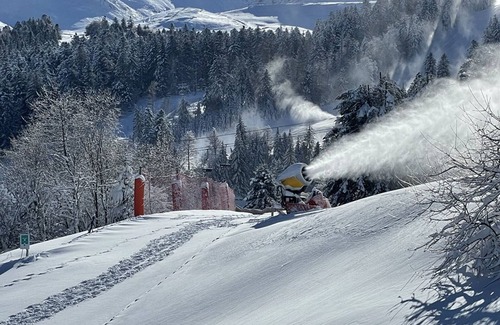 Laveissiere Apartment | Renovated Duplex Apartment with 2 Bedrooms, Ski Access, and Free WiFi