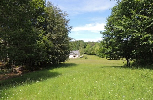 Champs-sur-Tarentaine-Marchal House | Renovated farmhouse between woods and meadows