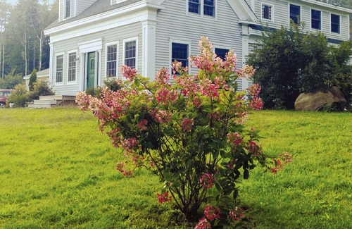 Chebeague Island House | Renovated, Sunny 1850's Island Farmhouse