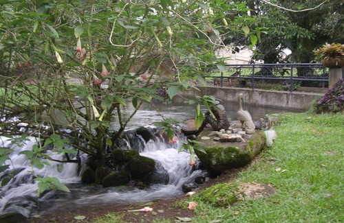 Guapiles Apartment | Rent 1 apt for up to 6 guests both apt for up to 12 guests and a discount