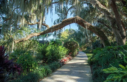 Mount Dora Apartment | Rent 2 nights get 1 free! Cozy Studio! 5 min drive to DT Mt Dora!