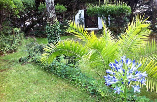 Cap-Ferret Villa | RENT CHARMING VILLA CAP-FERRET