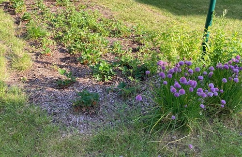 Le Rosais-La Flourie House | Rent family house 3 bedrooms, sleeps 7, 300 m plage des fours à chaux