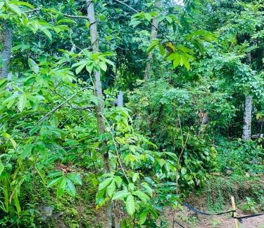 Malimbada Cabin | Rent Home