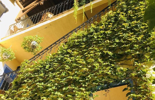 Cahors Old Town House | Rent large and beautiful house in the heart of historic old Cahors