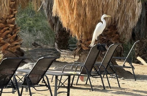 Desert Hot Springs Villa | Reserve The Entire Ranch | up to 28 guests