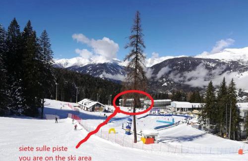 Marilleva Apartment | RESIDENCE ARTUICK AP.556 DIRETTAMENTE SULLE PISTE