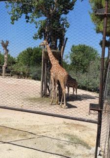 Palombina Nuova Apartment | Residence Carmen