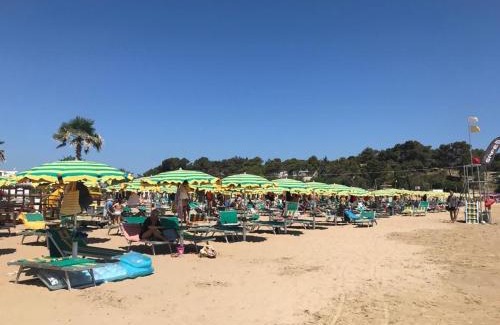 Mandrione Apartment | Residence Jolly