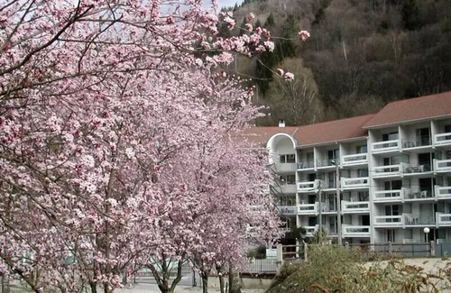 Allevard Apartment | Residence Les Silènes - 2 room apartment for 2 people Comfort