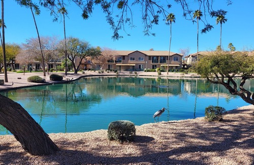 Superstition Springs Condo | Resort look-home feeling. Ground floor condo close to pool/spa. Walk to golf.