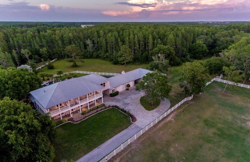 Greater Northdale House | Resort style pool with lazy river, grotto, and hot tub! Dog-Friendly!
