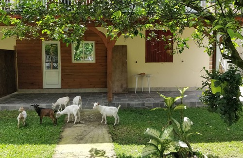 Les Abymes House | Rest and relaxation in nature (2/2)