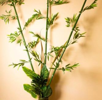 Pereira House | RESTAURANTE Y ALOJAMIENTO EL NUDO COCINA Y CAFE