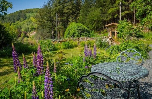 Bouvet Island House | Retreat in Coed Y Brenin forest near Dolgellau