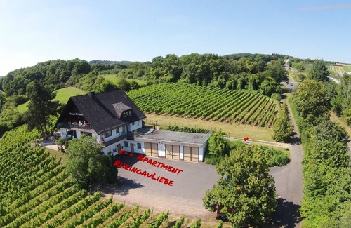 Geisenheim Apartment | RheingauLiebe, THE apartment on the vineyard