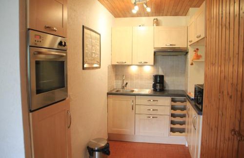 Chatel Apartment | Rhododendrons RD501 CENTER & TELECABINE 4 Pers
