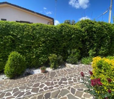 Zona XLV Castel di Guido Apartment | Rhome country lodge