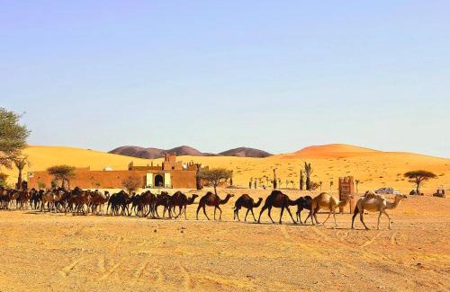 Taouz Hotel | Riad Ouzina TGM