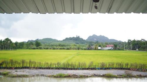 Plai Phraya House | Rice Field Bungalows