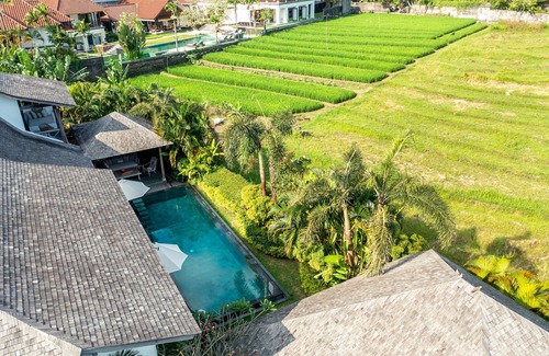 Pererenan Villa | Ricefield View 4 BDR Villa,Walk to Pererenan Beach