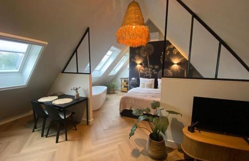 Barneveld Apartment | Ricks Room Barneveld