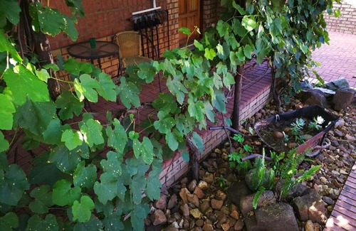 Middelburg House | Ridderspoor Guesthouse