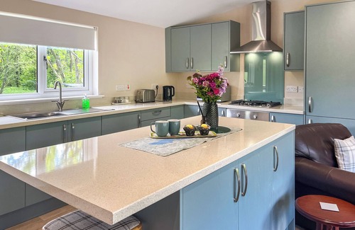 Newbridge Cottage | Ridge View Lodge - UK49924