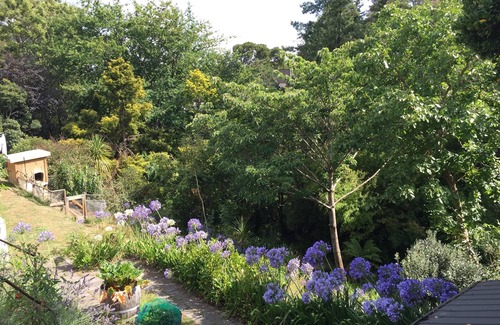 Havelock North House | Ridgetop Retreat set amongst Beautiful Trees