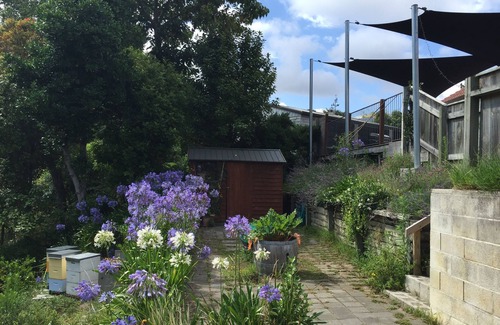 Havelock North House | Ridgetop Retreat set amongst Beautiful Trees