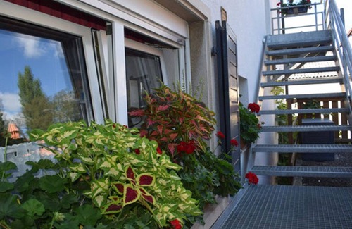 Billigheim-Ingenheim Apartment | Riesling apartment - Winzerhof am Steingebiss