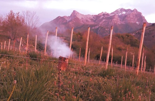 Careggine House | Rifugio Alpi Apuane