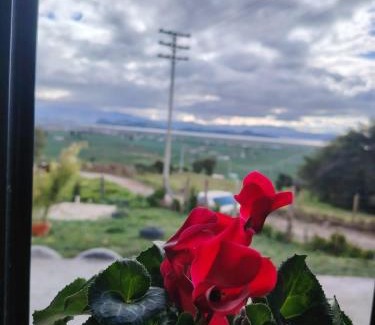 Aquitania House | Rinconcito campesino