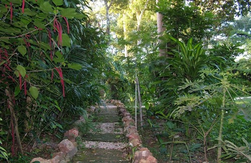 Melchor de Mencos Cabin | Rio Mopan Lodge