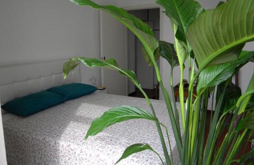 Rione Sanita House | RISINgSUN
