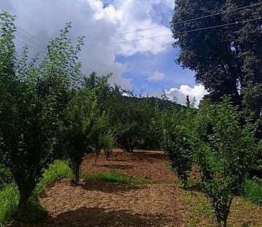 Mukteshwar House | Riturain