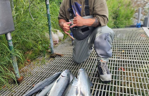 Soldotna Cabin | River Front Cabin on the Kenai River