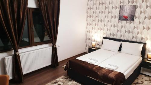 Sangeorgiu de Padure House | River Star