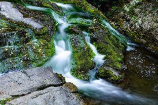 Gatlinburg Resort | River Terrace Resort & Convention Center