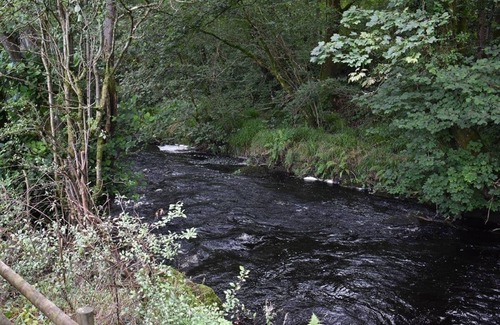 Llanfair Caereinion Cottage | River View 13 is a four berth large glamping cabin.