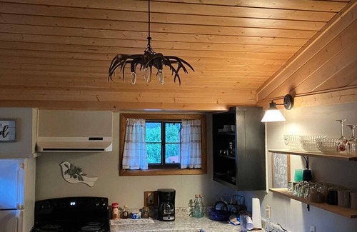 Lake City Cabin | River View - Ox Yoke #5 - Great Family Cabin Along the Lake Fork of the Gunnison River
