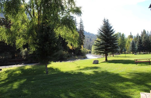 Lake City Cabin | River View - Ox Yoke #5 - Great Family Cabin Along the Lake Fork of the Gunnison River