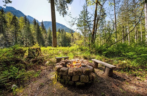 Baring Cabin | Riverfront Cabin, Covered Hot Tub, King Beds, Dual Shower, Pets - Fox Haven