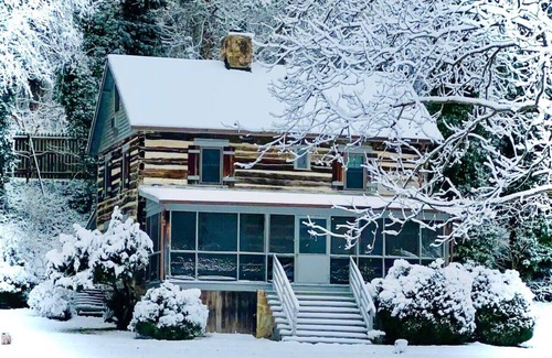 Luray Cabin | Riverfront Cabin! Fireplaces, Farm, Trail & Kayaks